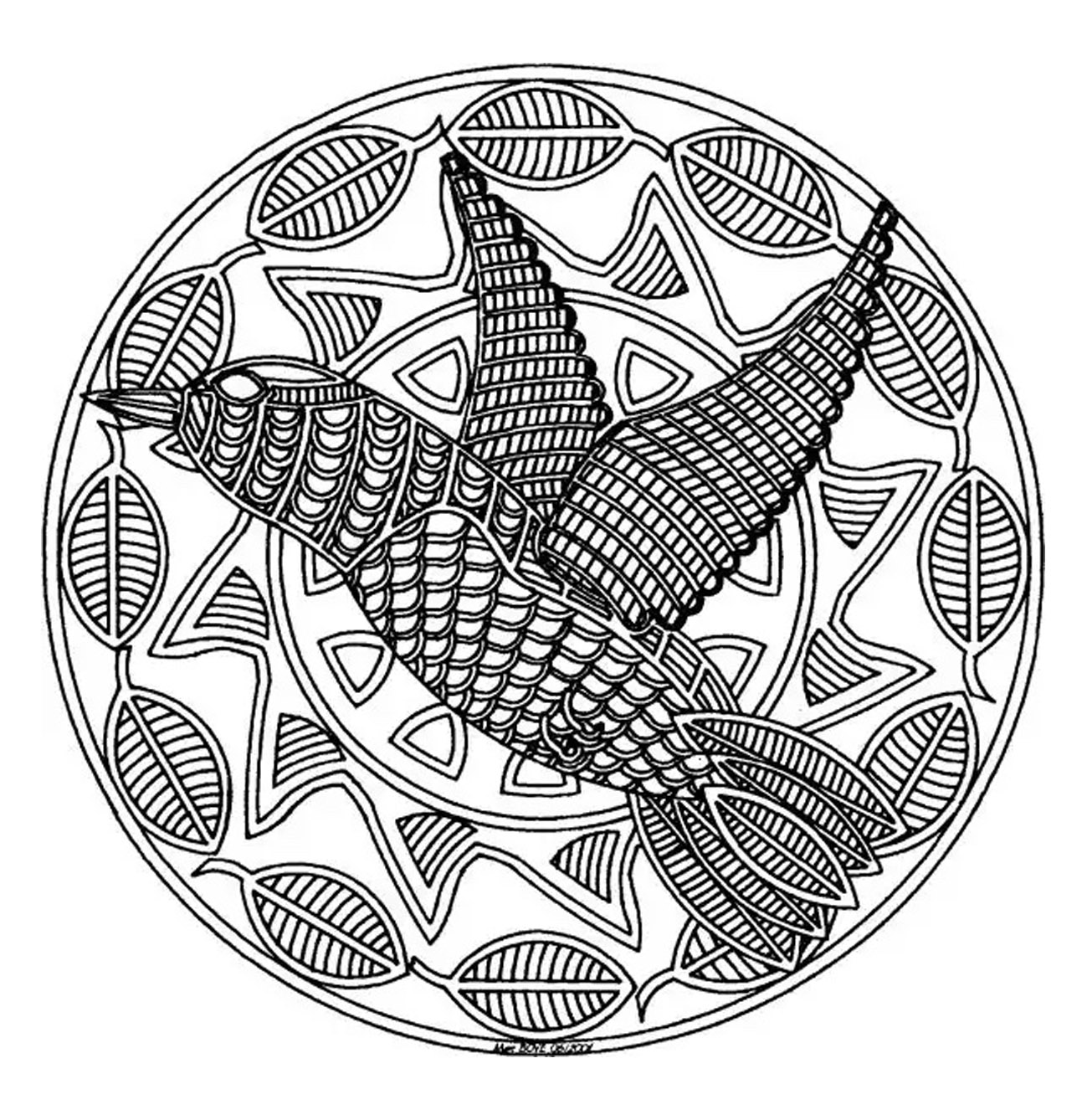 A Magnificient bird occupies the major part of this Mandala drawing page